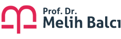 Prof. Dr. Melih Balcı
